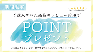 レビューでポイントプレゼント