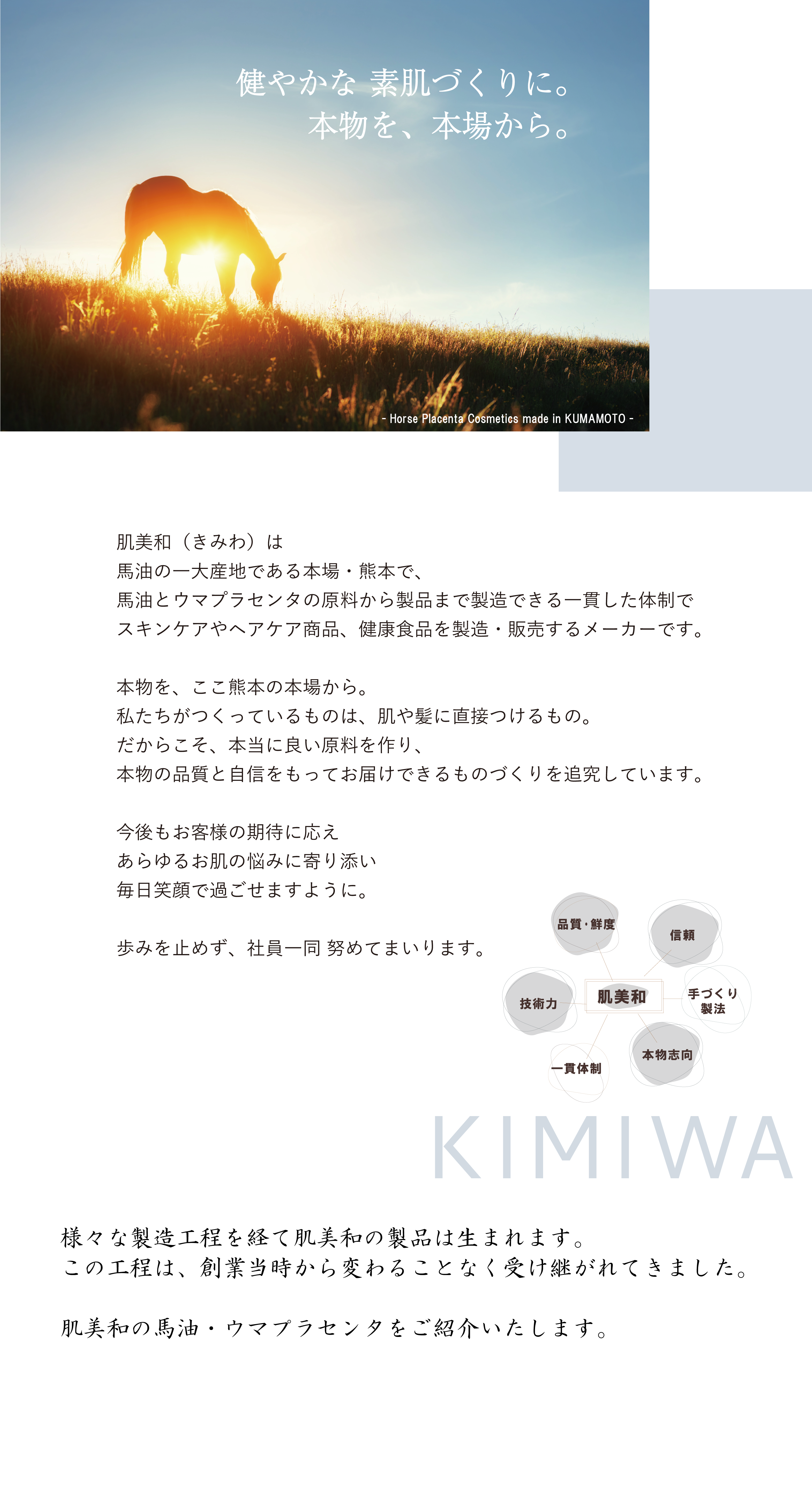 製造工程①